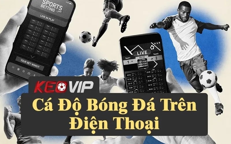 Hướng dẫn cá độ bóng đá trên điện thoại hiệu quả nhất