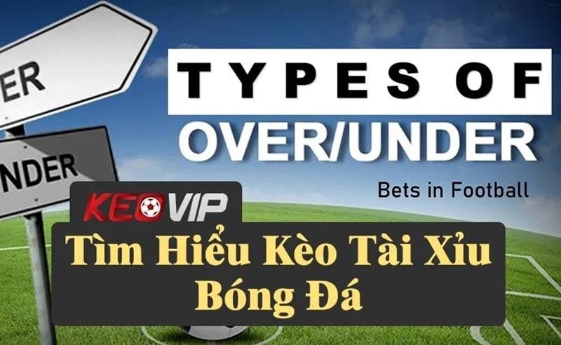 Tìm hiểu kèo tài xỉu bóng đá và các tỷ lệ cá cược phổ biến